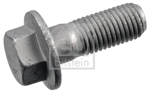 Bolt, brake caliper